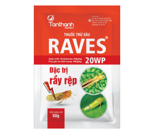 RAVES 20WP