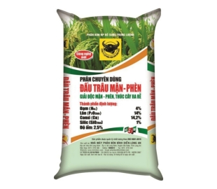 ĐẦU TRÂU MẶN-PHÈN