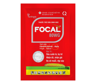 FOCAL 80 WG