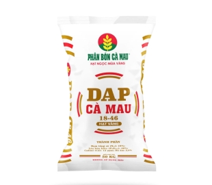 DAP CÀ MAU