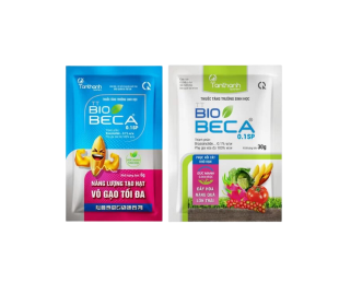 BIO BECA